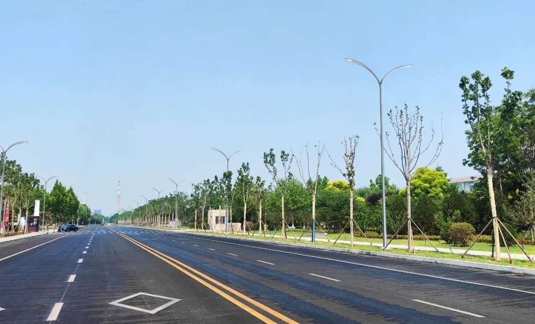 Urban Renewal Case Sharing: Wanxing Road, Dongying, Shandong