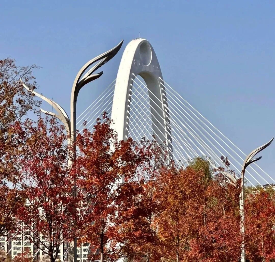 Những cách sử dụng đèn đường sáng tạo và thông minh | Đường Chuhe Đông, Nam Kinh