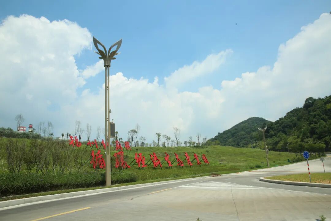 Led Pole Lights Panlabas