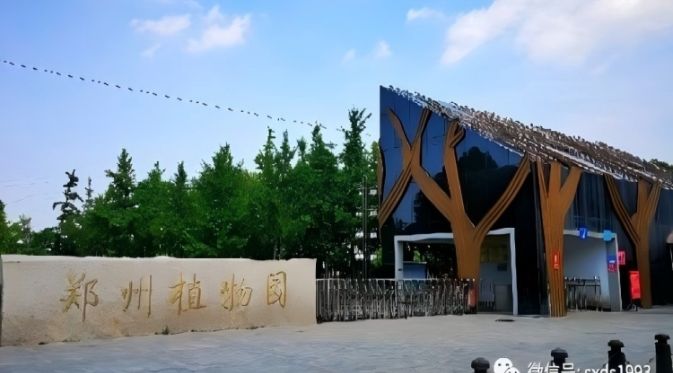 Projeto de Iluminação Paisagística do Jardim Botânico de Zhengzhou | Iluminação Sanxing