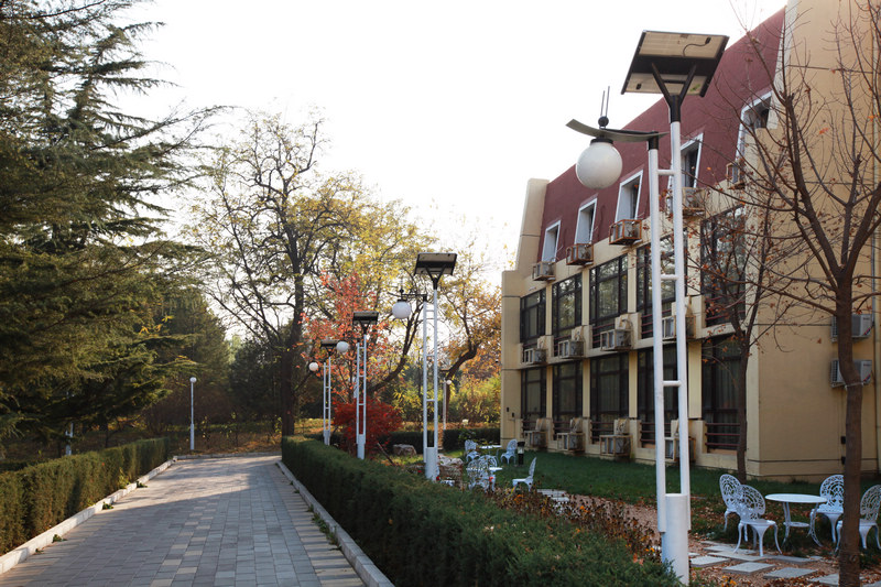 Smart Streetlight & Solar Light Support Global Carbon Neutrality Goals Smart Streetlight & Solar Light Support Global Carbon Neutrality Goals