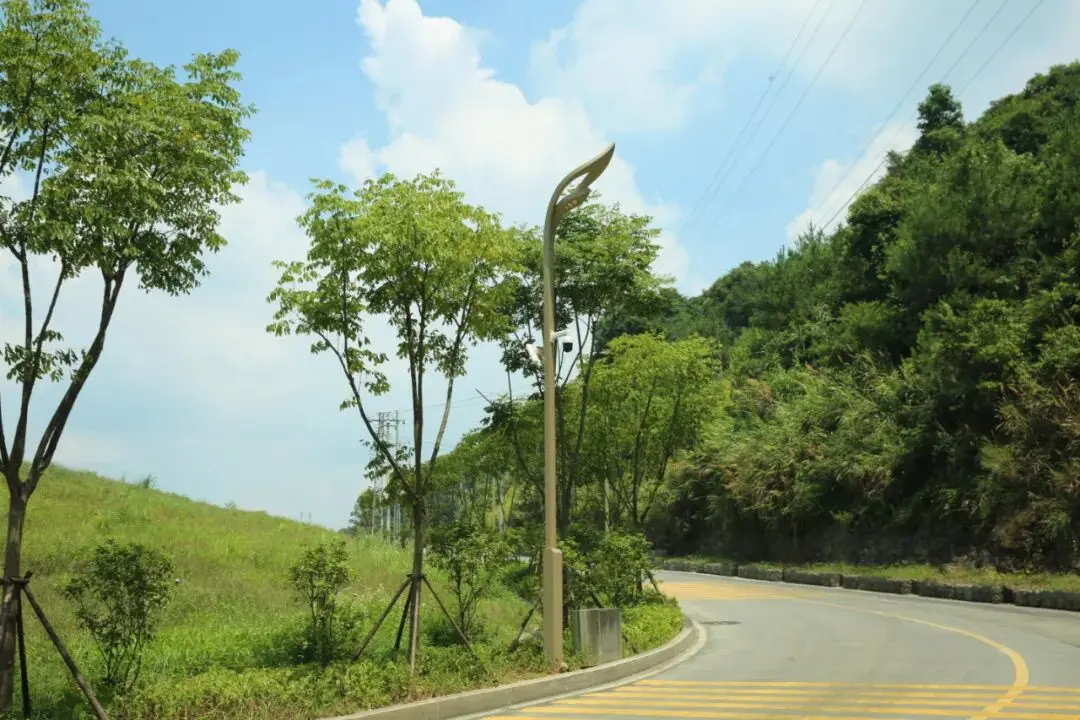 أضواء أعمدة LED خارجية