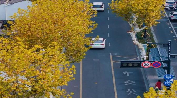 Sino ang Nakakaalam na Maaaring Ganito ang mga Street Lamp • Suzhou Xibei Street