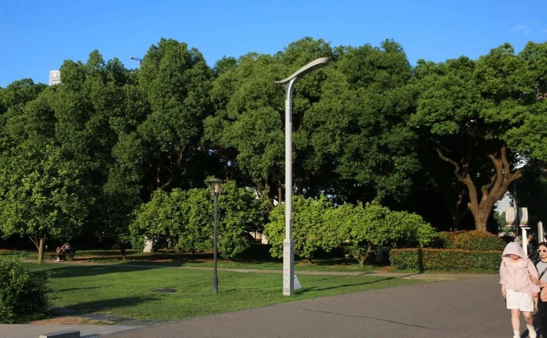 Double Ninth Festival: Recalling Red Culture sa Juzizhou Island, Changsha