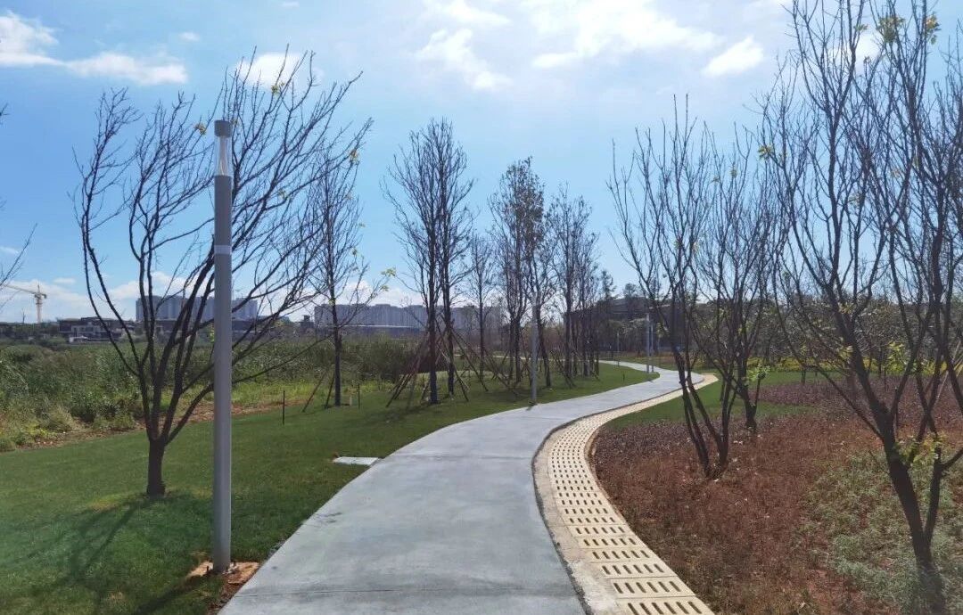 Бағананы жарықтандыру