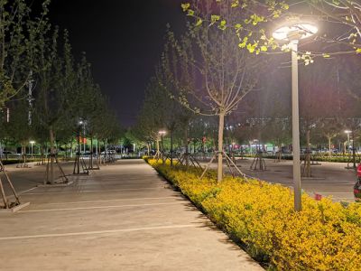 Cómo elegir luces solares para el jardín, tanto para patios como para caminos