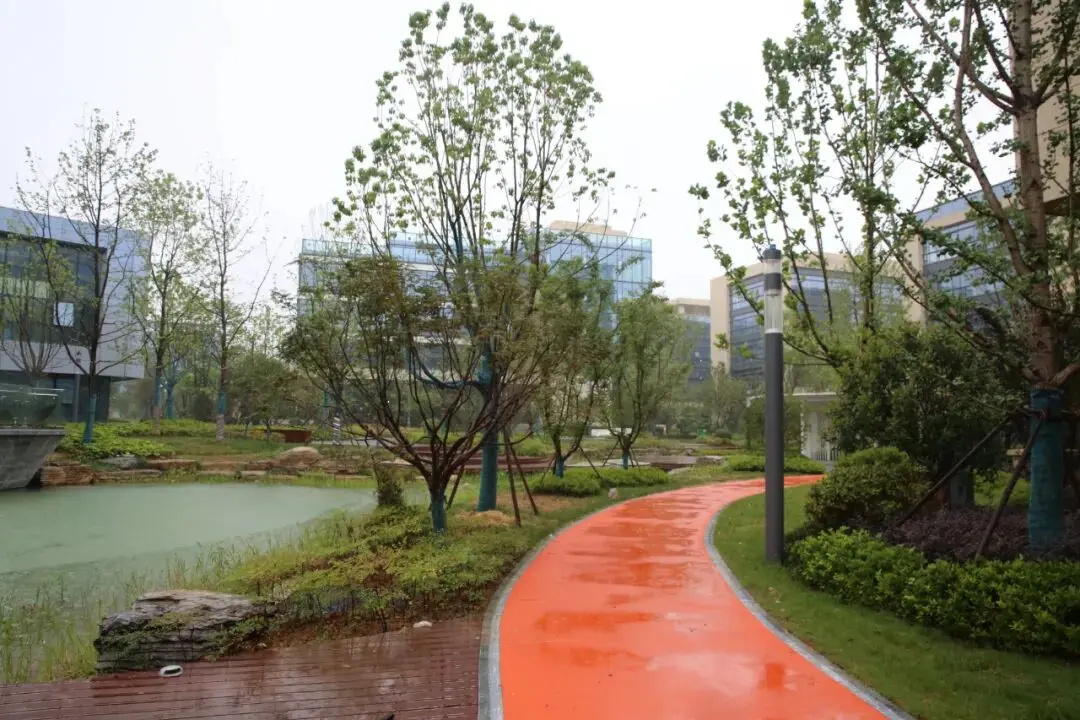 Әлемдік деңгейдегі жоғары технологиялық паркте Sanxing Lighting Smart көп функциялы тіректерін қолдану | Хэфэй Чжун'ан Чуангу Әлемдік деңгейдегі жоғары технологиялық паркте Sanxing Lighting Smart көп функциялы тіректерін қолдану | Хэфэй Чжун'ан Чуангу