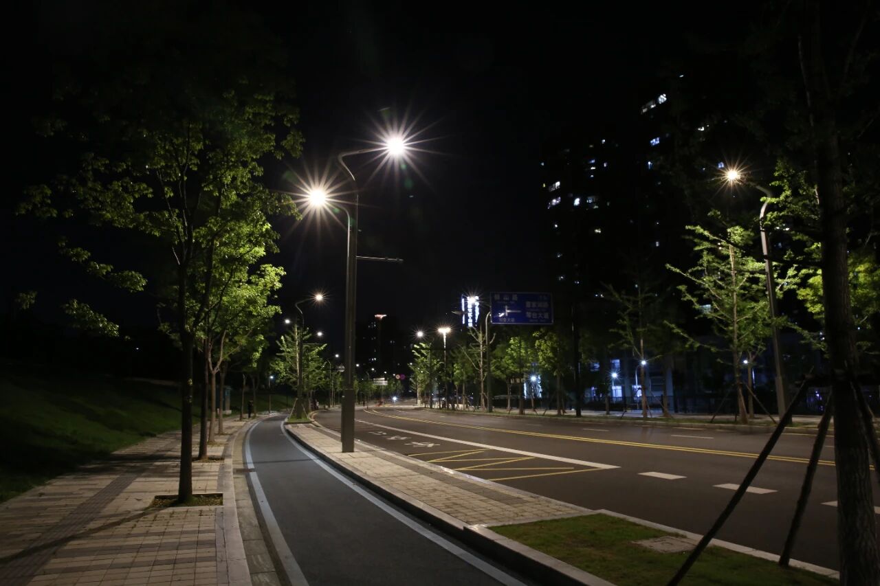 Dự án cải tạo đường đô thị và giải pháp tích hợp cho hệ thống giao thông phi cơ giới trong đô thị | Đại lộ Zhiyin, Vũ Hán