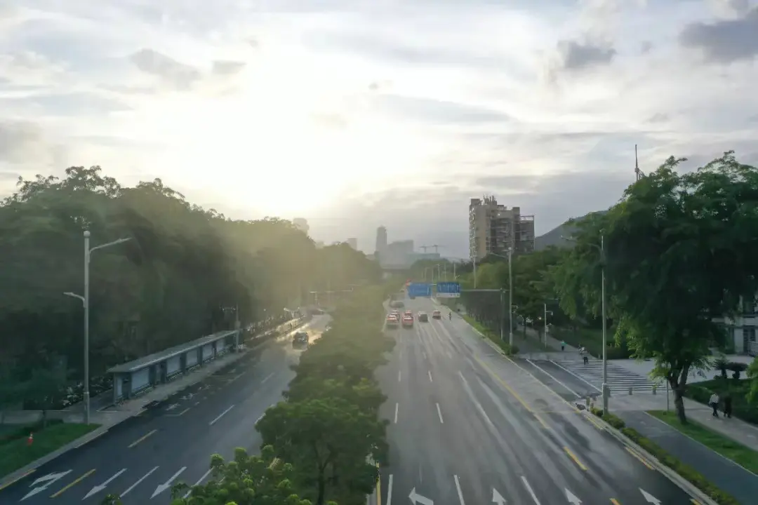 Đèn đường phố Đại lộ Longzhu Đèn đường phố Đại lộ Longzhu