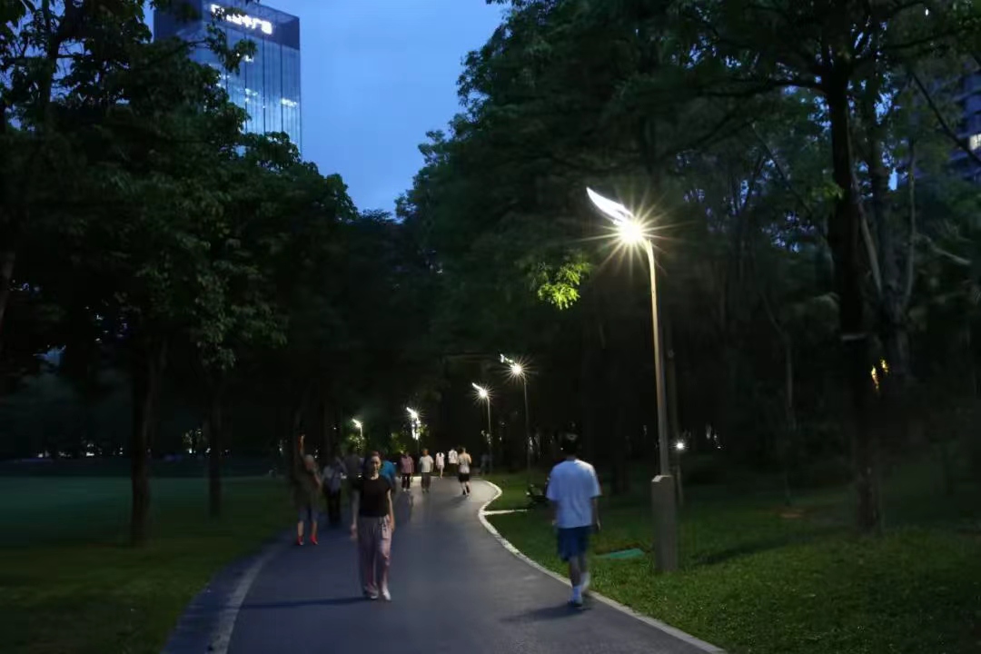 La luz baña el verde césped, las farolas acompañan el tranquilo sendero • Una experiencia inmersiva del sistema de movilidad urbana lenta | Parque Lixiang de Shenzhen