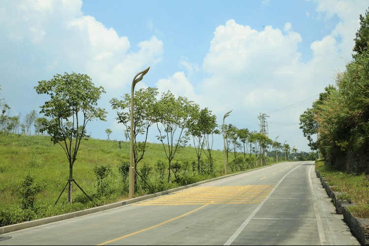 Led Pole Lights Panlabas