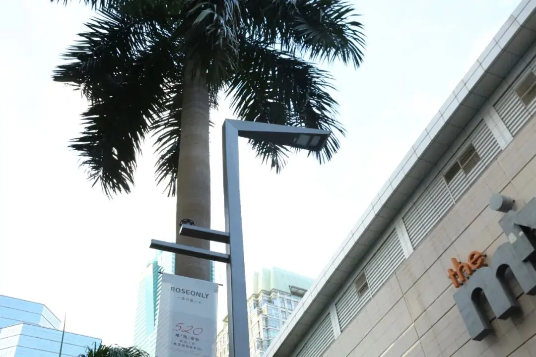 Smart Landscape Streetlights at Shenzhen MIXC