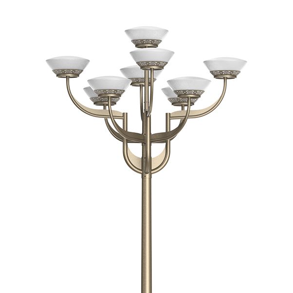 أول ضوء الشارع