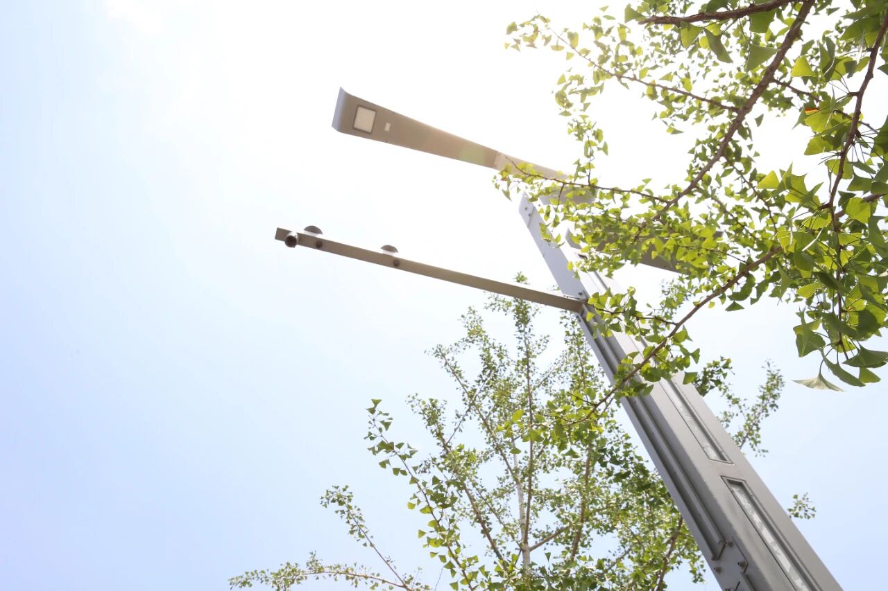 Cải tạo đường phố đô thị và giải pháp tích hợp cho hệ thống giao thông phi cơ giới trong đô thị | Đại lộ Zhiyin, Vũ Hán