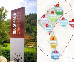Proyek Pencahayaan Lanskap Taman Ekologis Shuanglong: Solusi Lampu Jalan LED Bionik Kustom & Lampu Halaman LED